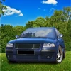 MTuning Sports grilio versija be chromo ženkliuko VW PASSAT B5.5 Variant 2000-2005