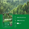 Multicopy Papier ksero Multicopy A4 160g 250 arkuszy