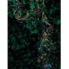 Lampki choinkowe Multimix.pl Sirius Home Knirke, Light decoration chain, Žalias, Transparent, Ambience, Žalias, 500 bulb(s), LED