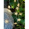 Dekoracja świąteczna Multimix.pl Sirius Home Trille, 40 lamp(s), LED, Indoor/outdoor, Sidabrinis, Baterija, AA