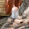 Munchkin 307775 – PRADŽIOS RINKINYS / 180 ML BUTELIS SU PRITAIKYMU TEKA + ŽIEDUKLIS -2-2M/ ZERO ZERO