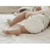 Muumi MOOMIN Baby, sauskelnės 5 MAXI (10-16 kg), 40 vnt. ECO*