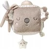 Baby Ono B.O.1637 KOALA COCO sensorinis kubas