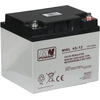 MWPower AKUMULIATORIUS 12V/45AH-MWL