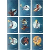Narcissus Notepad A5/32K tinklelis PP Cosmo (9 vnt) NARCISSUS
