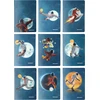 Narcissus Notepad A5/60K tinklelis PP Cosmo (9 vnt) NARCISSUS
