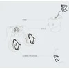 Naroo NAROO MASK T-BONE 5 + pilka, standinanti - T- BONE5 + S