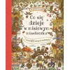 Nasza Ksiegarnia Co się dzieje w misiowym miasteczku 44270