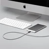 Native Union Diržo kabelis USB-A į USB-C 1,2 m Zebra