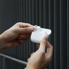 Native Union (RE)Permatomas dėklas - AirPods Pro 3