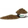 Nature's Protection Superior Care Hypoallergenic begrūdis su lašiša Adult All Breeds 10 kg, suaugusių visų veislių jautrią virškinimo sistemą turinčių šunų sausas begrūdis pašaras su lašiša
