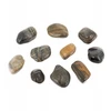 NB Minerals Poliruoti akmenys Tiger II 30-50 mm akvariumui terariumui 5kg/PAKUOTĖ