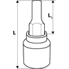 Neo Šešiakampė galvutė 1/2" H12 x 55mm (08-775)