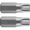 Końcówka Griovelio antgalis M10 x 30 mm, S2, 2 vnt.