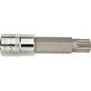 Antgalis NEO Spline M12 x 100 mm