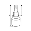Prailginta galvutė Neo Torx 1/2", T20 x 55mm