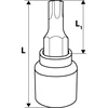 Prailginta galvutė Neo Torx 1/2" T27 x 55mm (08-752)