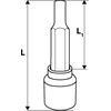 Neo Galvutė torx 1/2 '' TX40, 100 mm