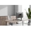 Laikiklis NEOMOUNTS NERO SINGLE MONITORIUS STAND 10-32"