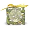 Nesti Dante Gli Officinali Soap Ivy & Clove 200 g