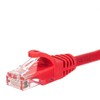 NETRACK CAT5e UTP 2 m Raudona 2 Patchcord