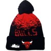 New Era Chicago Bulls NBA Sportinė Kepurė 12122723