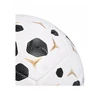 Nike Kamuolys Academy HV4386-100