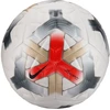 Nike Kamuolys Academy Plus (IQ0640-100)
