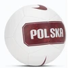 Nike Futbolo kamuolys Polska Pitch (IQ7533-100)