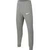 Nike Park 20 Fleece Jr Kelnės CW6909 071