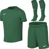 Sportinis komplektas dla małych dzieci Nike Dri-Fit Park VIII žalia HV8260 302 (XL)
