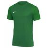 Vyriški marškinėliai Nike Dri-Fit Academy II žalia HV8160 302 (M)