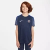Nike Marškinėliai PSG Strike Junior Jr HJ7836-411