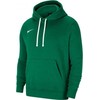 NII Men’s Nike Team Club 20 Hoodie žalias CW6894 302