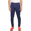Nike Park 20 Jr Kelnės FJ3021-451