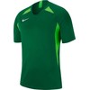 Nike Legend trumpos rankovės marškinėliai jaunuoliams AJ1010-302