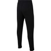 Nike Park 20 Fleece Kelnės Jaunimo CW6909-010
