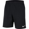 Nike Park 20 šortai M CW6910-010