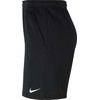 Nike Park 20 šortai M CW6910-010