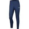 Kelnės Nike Park 20 M FJ3017-451