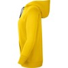 NII Nike Park 20 Hoodie yellow CW6957 719
