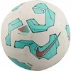 Nike Pitch Team kamuolys FZ2636-103
