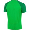 Nike DF Adacemy Pro SS Viršutinė dalis KM DH9225 329