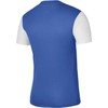Nike Dri-Fit Tiempo Premier 2 M Marškinėliai DH8035-463