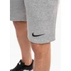 Šortai vyrams Nike Park 26 Fleece pilka IB1238 063 (XL)