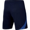 Nike NK DF Strike 22 Šortai KM DH8776 451