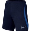 Nike NK DF Strike 22 Šortai KM DH8776 451