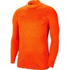 Nike Gardien III GK LS M BV6711-803 Vartininko marškinėliai