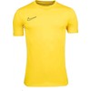 Nike DF Academy 23 SS M DR1336 719 Marškinėliai
