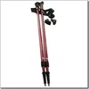 Nils Extreme Nordic ėjimo lazdos - Nils NW802 Reguliuojamos 86-140 cm